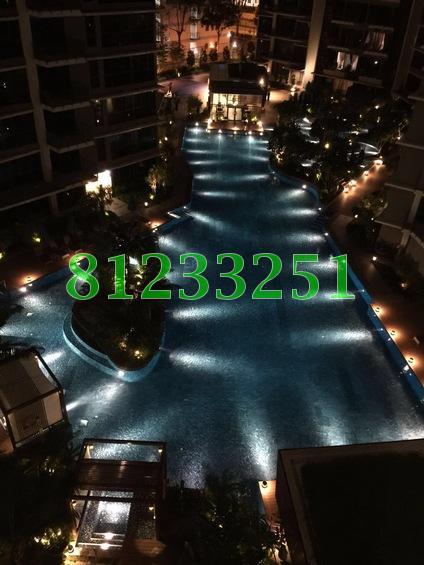 Boathouse Residences (D19), Condominium #166327122
